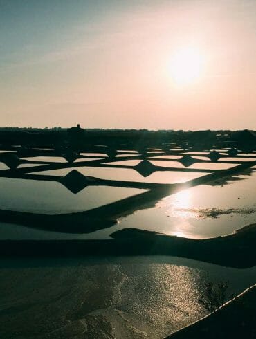 Marais de Puylorson Noirmoutier