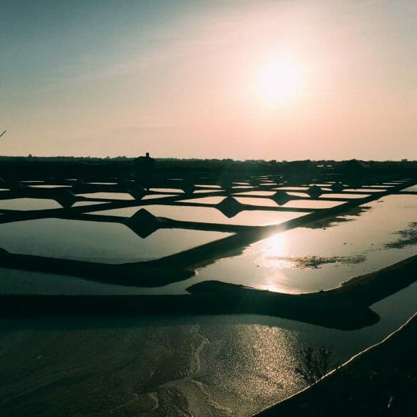 Marais de Puylorson Noirmoutier