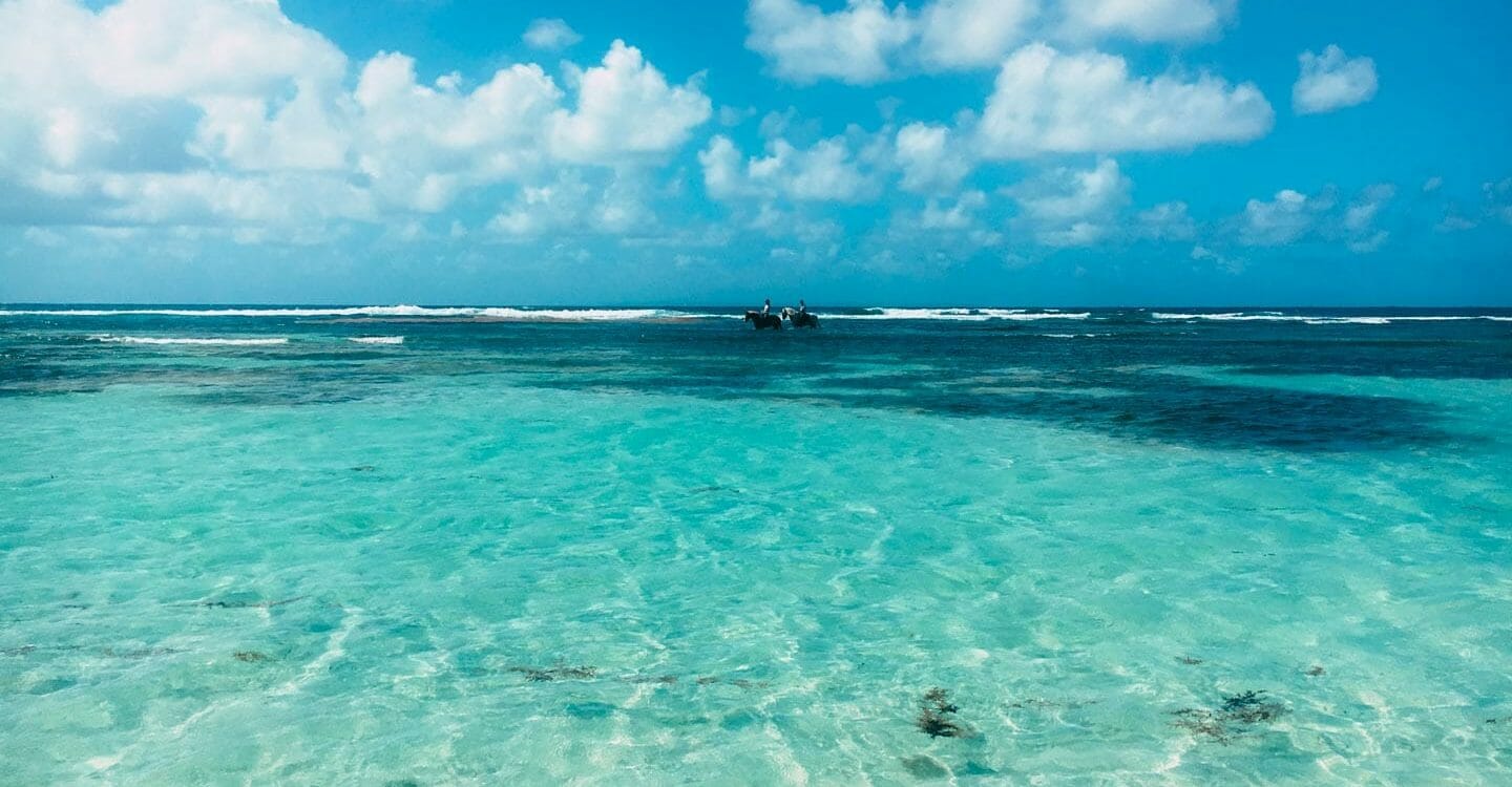 plage guadeloupe
