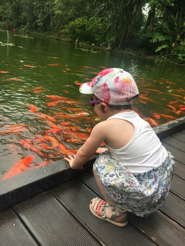 nos coeurs voyageurs