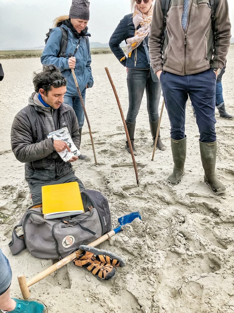 maxim guide baie de somme