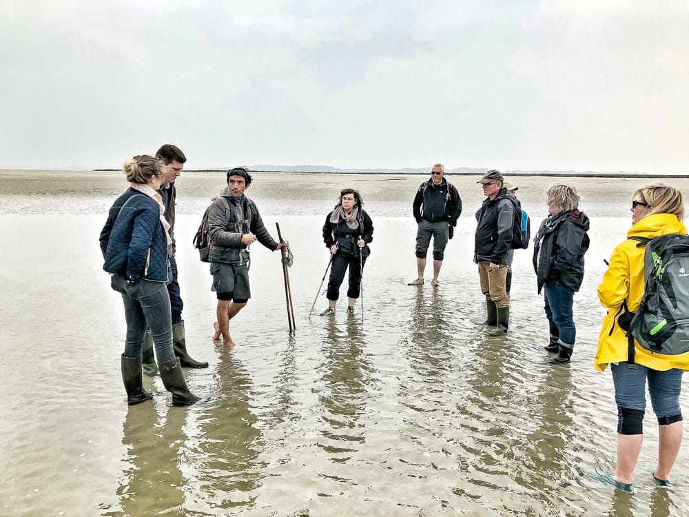 randonnée baie de somme