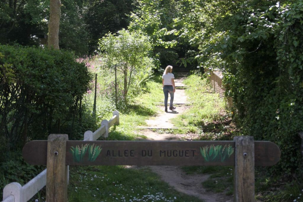 randonnée bois de cise