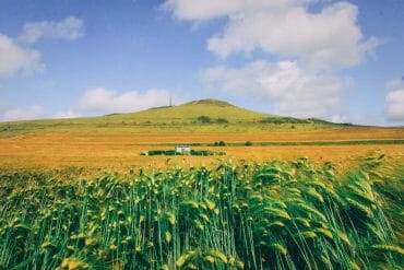 Cap Gris Nez au Cap Blanc nez