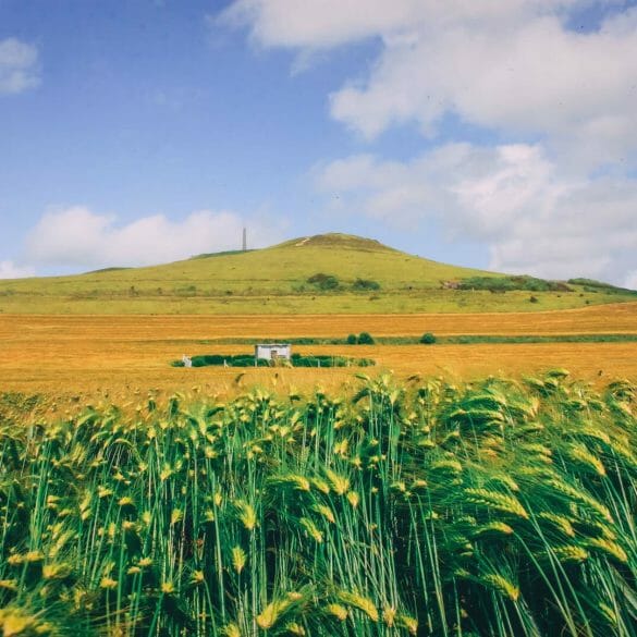 Cap Gris Nez au Cap Blanc nez