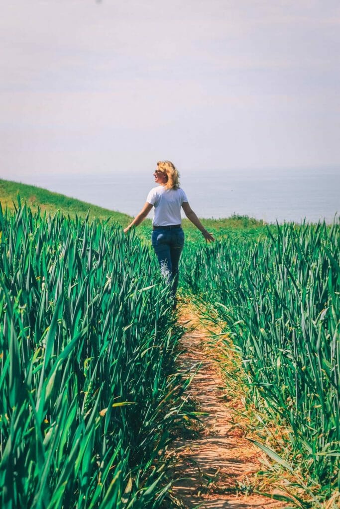 randonnée falaises ault