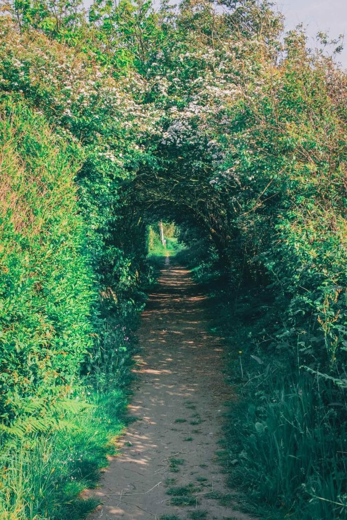 randonnée ault mers les bains
