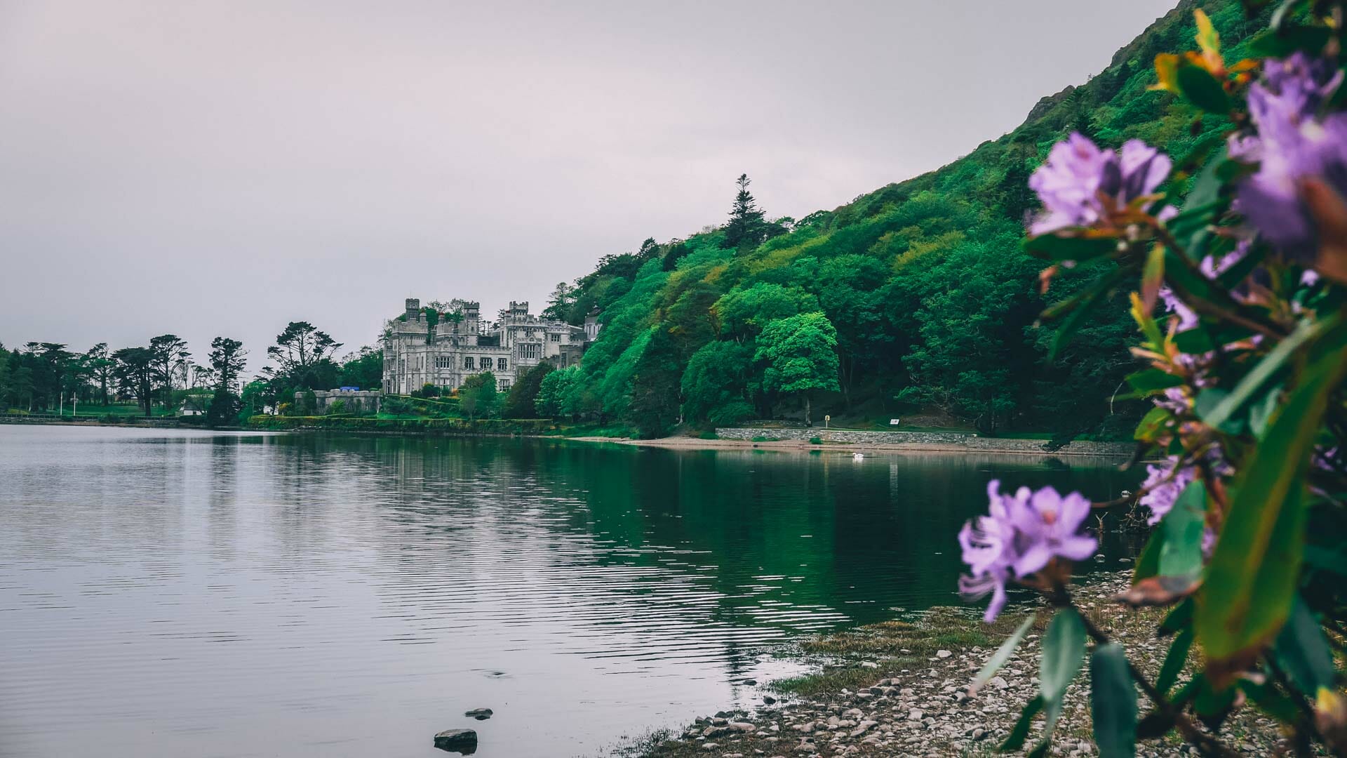 chateau kylemore