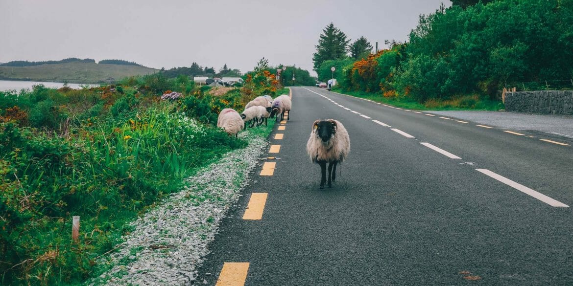 connemara loop