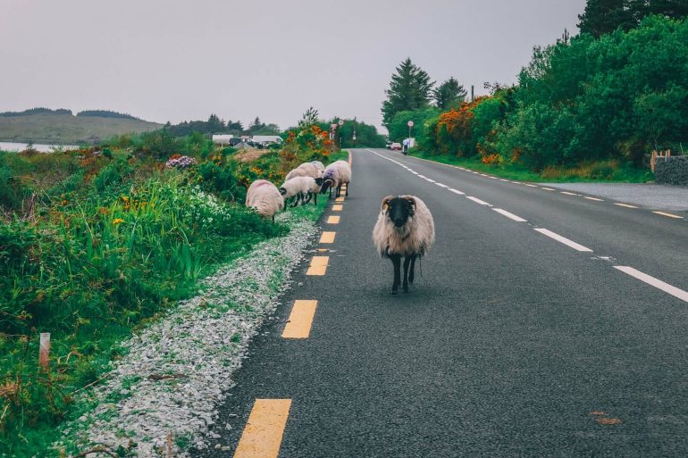 connemara loop