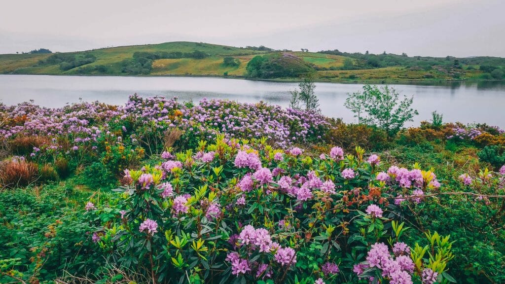 connemara loop