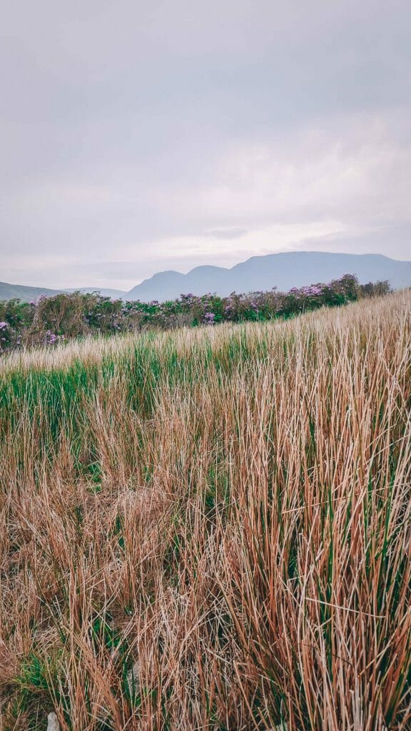 connemara loop