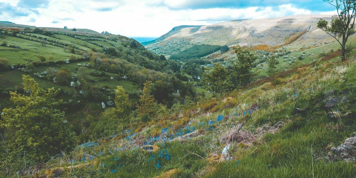 la Forêt de Glenariff