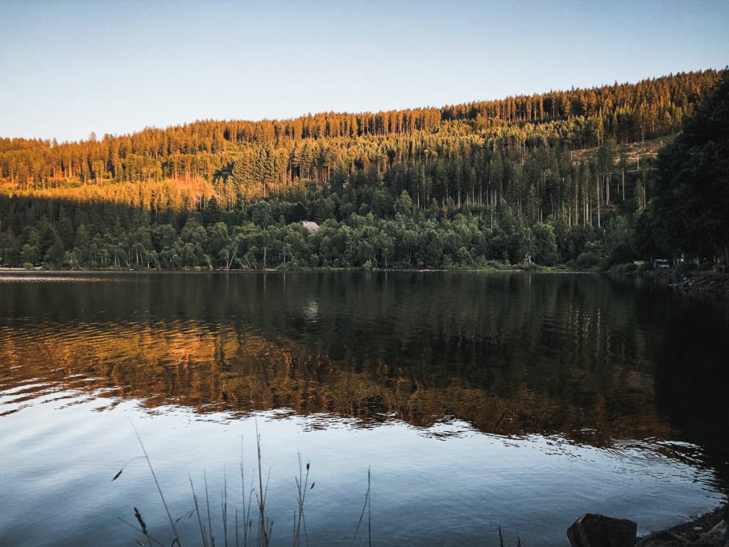 Paysage du lac Titisee en Forêt Noire avec reflets de la forêt de sapins dans l'eau au coucher du soleil