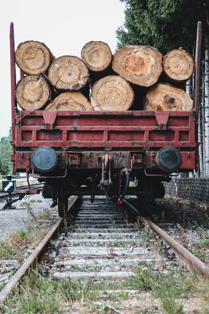 Train de marchandises chargé de troncs de bois de sapins sur une voie ferrée en Forêt Noire en Allemagne
