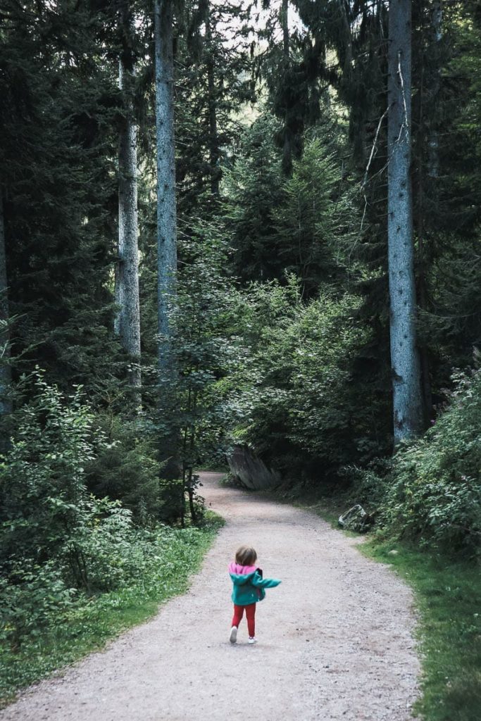 Jeune enfant marchant seule sur un large chemin de randonnée verdoyant au cœur d'une forêt de sapins en Forêt Noire