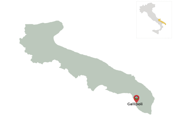 visiter gallipoli