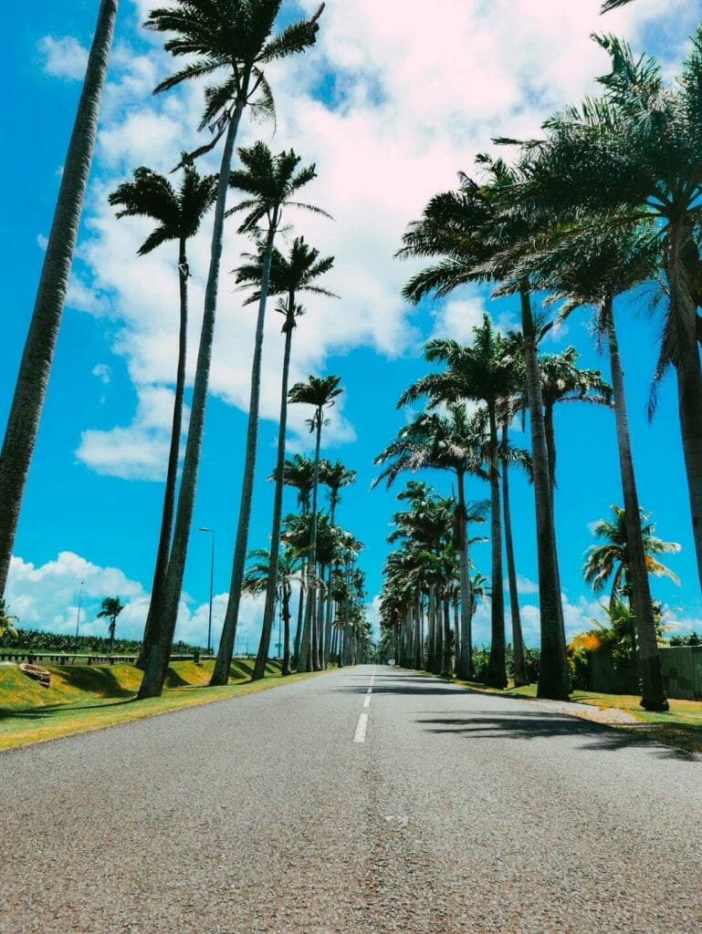 allée dumanoir guadeloupe