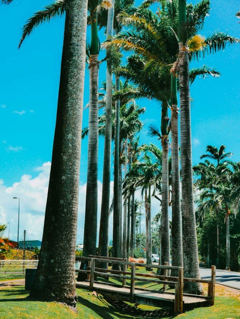 allée dumanoir guadeloupe