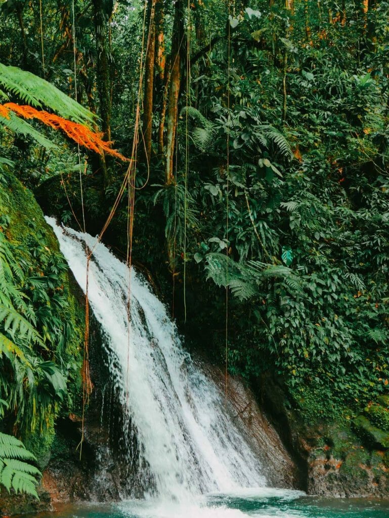 cascade écrevisse