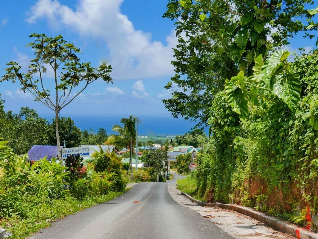 jungle guadeloupe