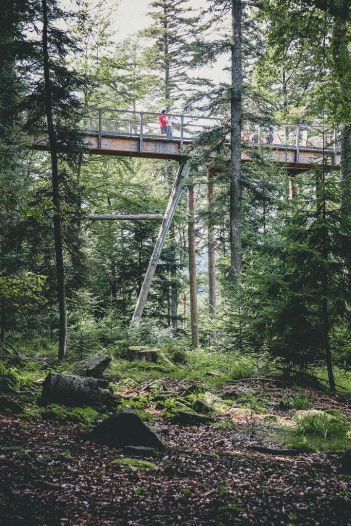 Sentier des cimes en bois avec vue panoramique sur la Forêt Noire en Allemagne