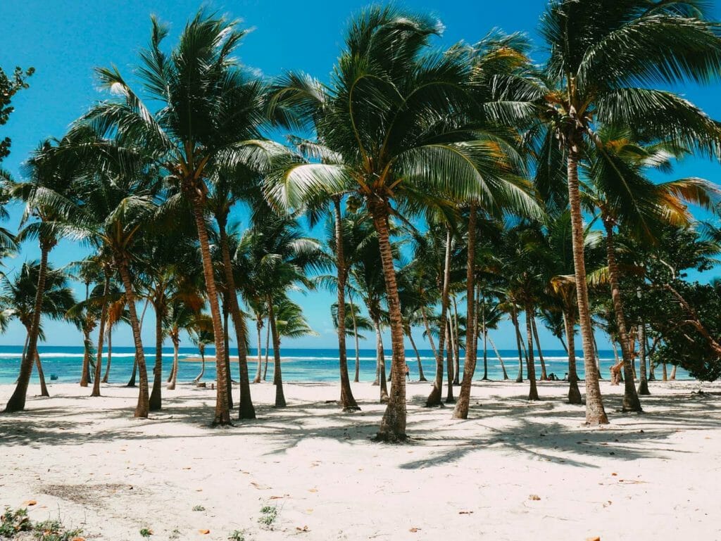 plage caravelle guadeloupe
