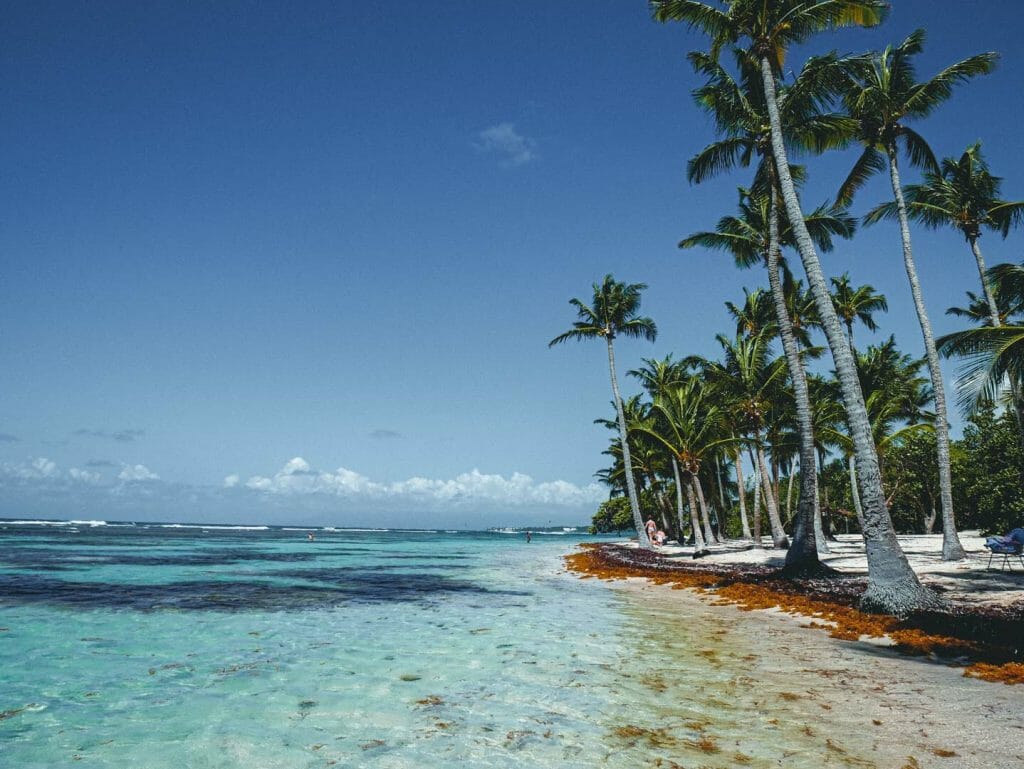 plage caravelle guadeloupe