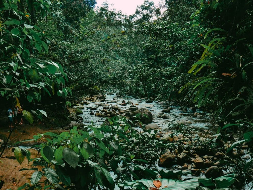 riviere guadeloupe