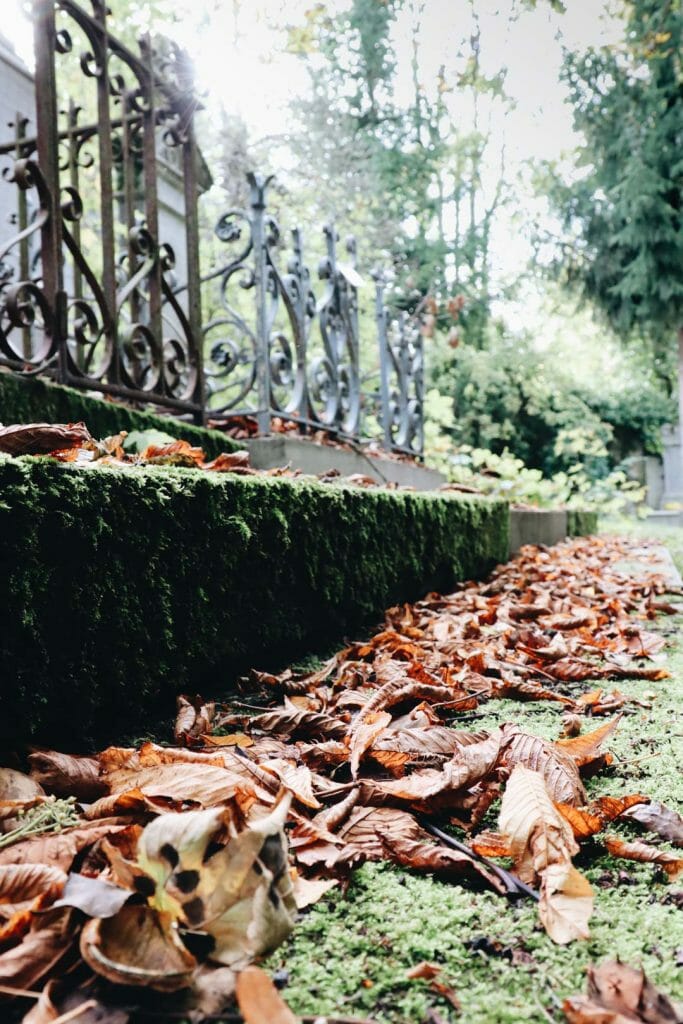 cimetiere la madeleine Amiens