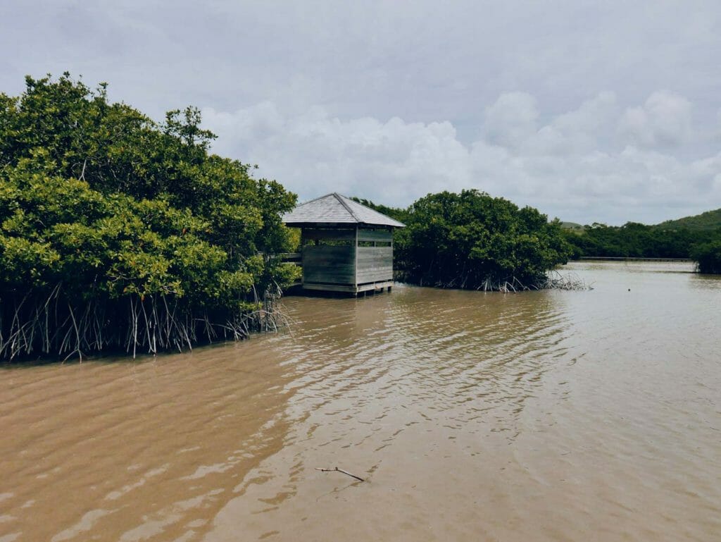 étang des Salines maritnique