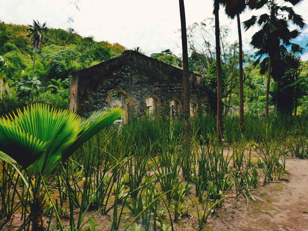 jardin balata