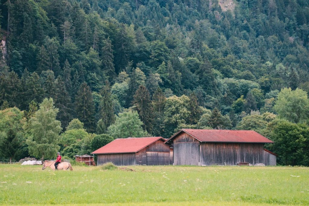 entier de randonnée dans la forêt d'Ettal et paysages de nature sauvage bavaroise
