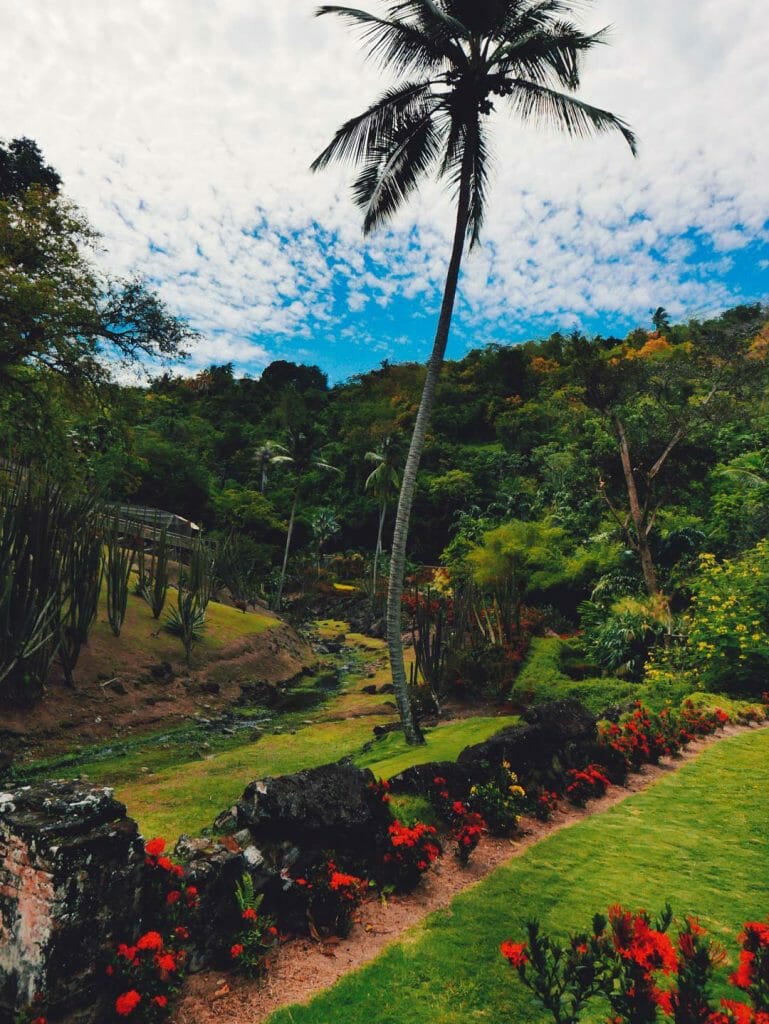 jardin balata