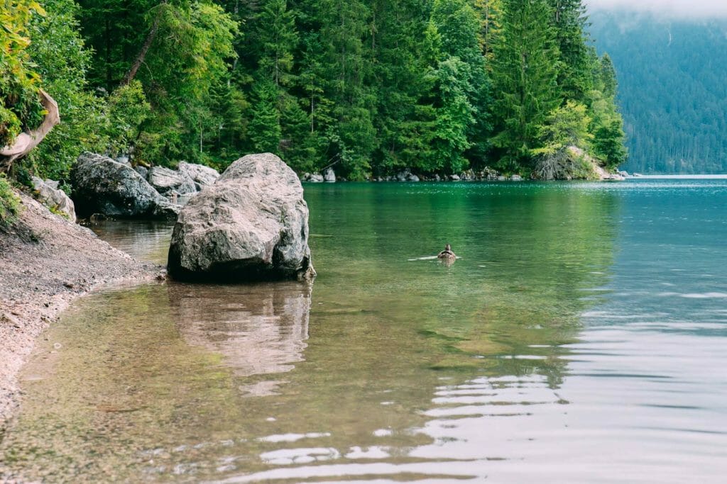 Eaux turquoise du lac Plansee entouré des montagnes des Alpes au sud de la Bavière
