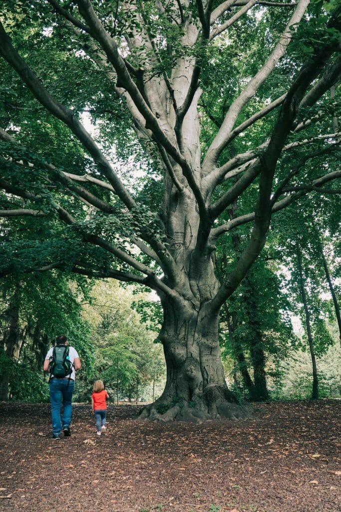 parc l'orangerie Strasbourg