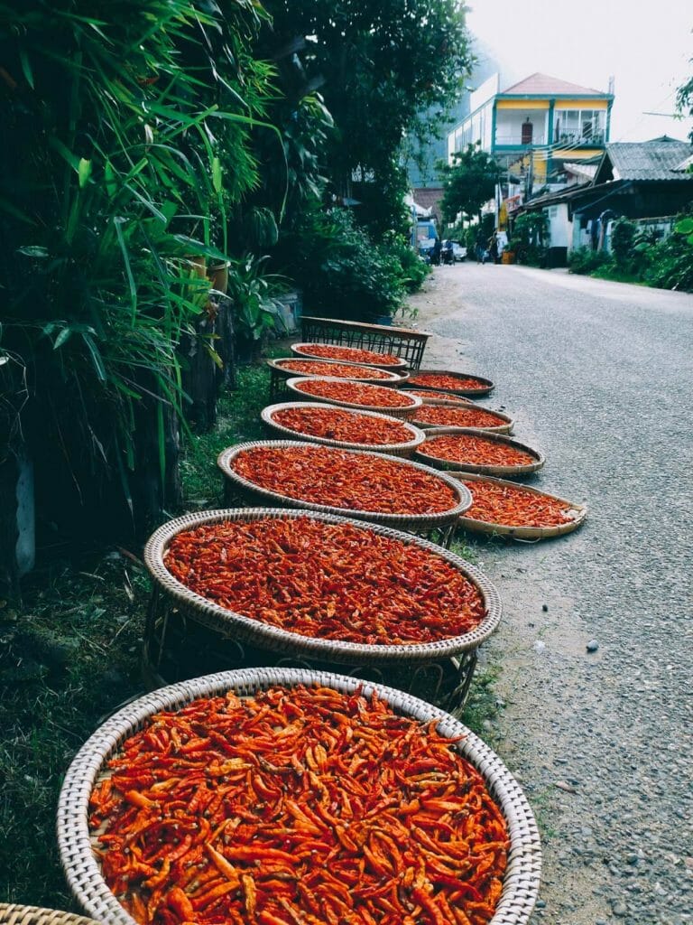 piment laos