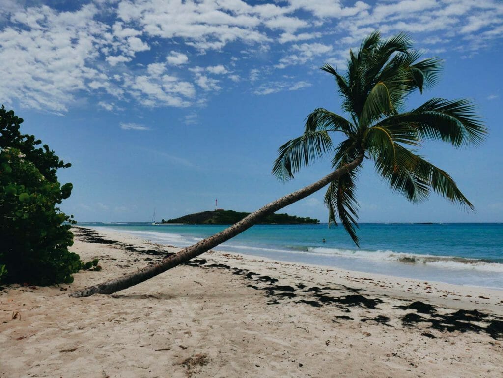 plage martinique
