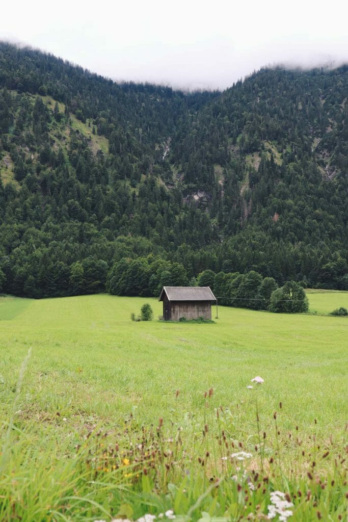 Sentier de randonnée dans la forêt d'Ettal et paysages de nature sauvage bavaroise