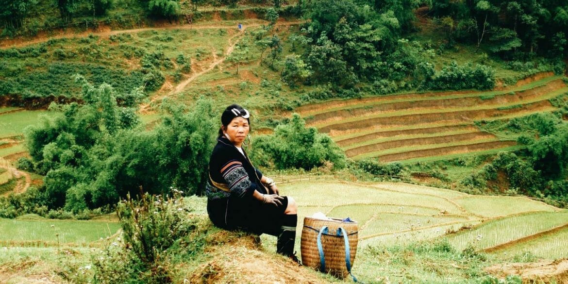 sapa rizière vietnam