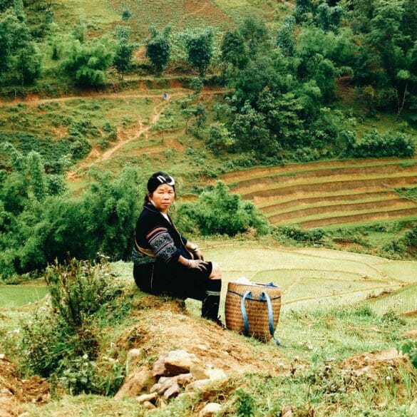 sapa rizière vietnam