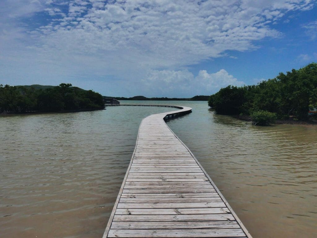étang des Salines maritnique