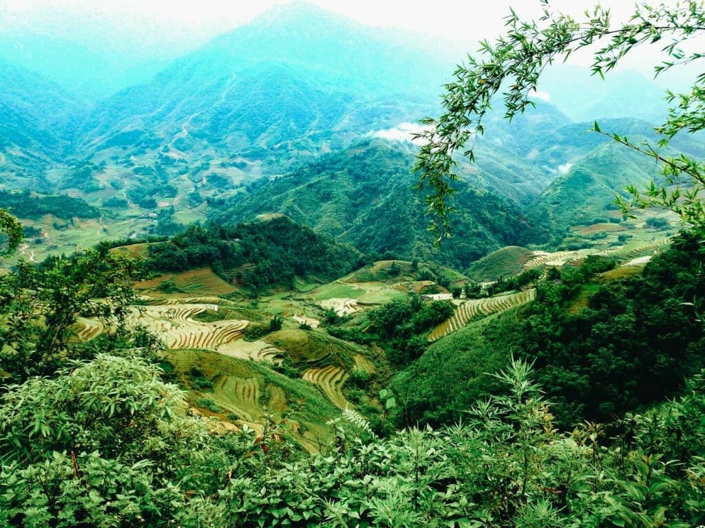 rizière sapa