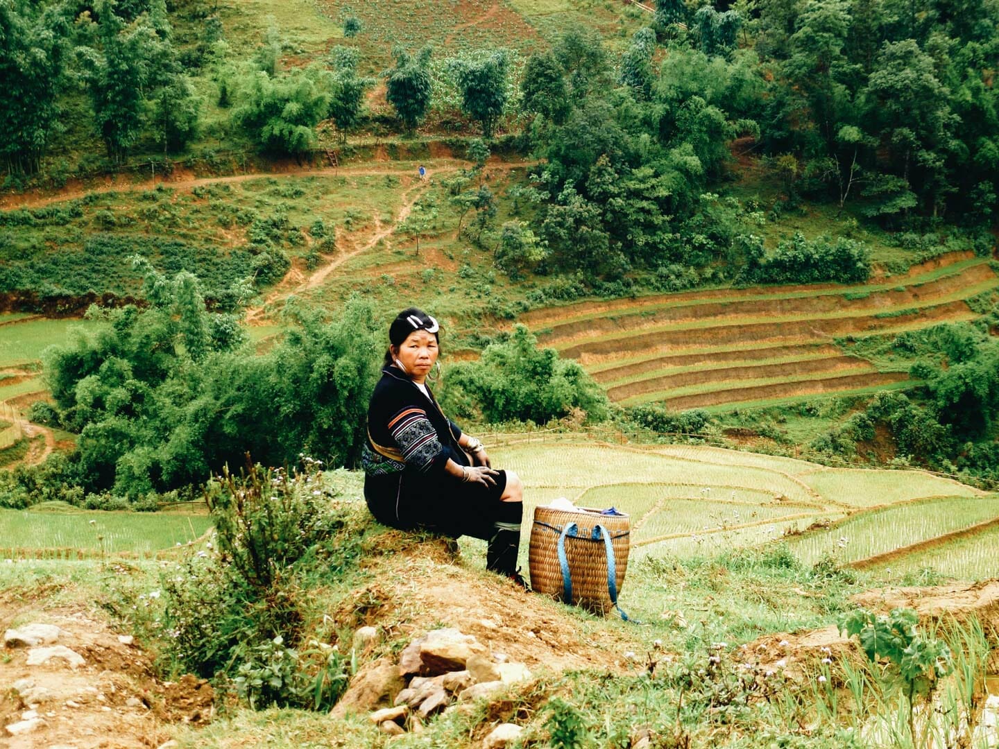 sapa sister association