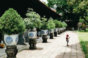 Palais de l’Harmonie Suprême hué