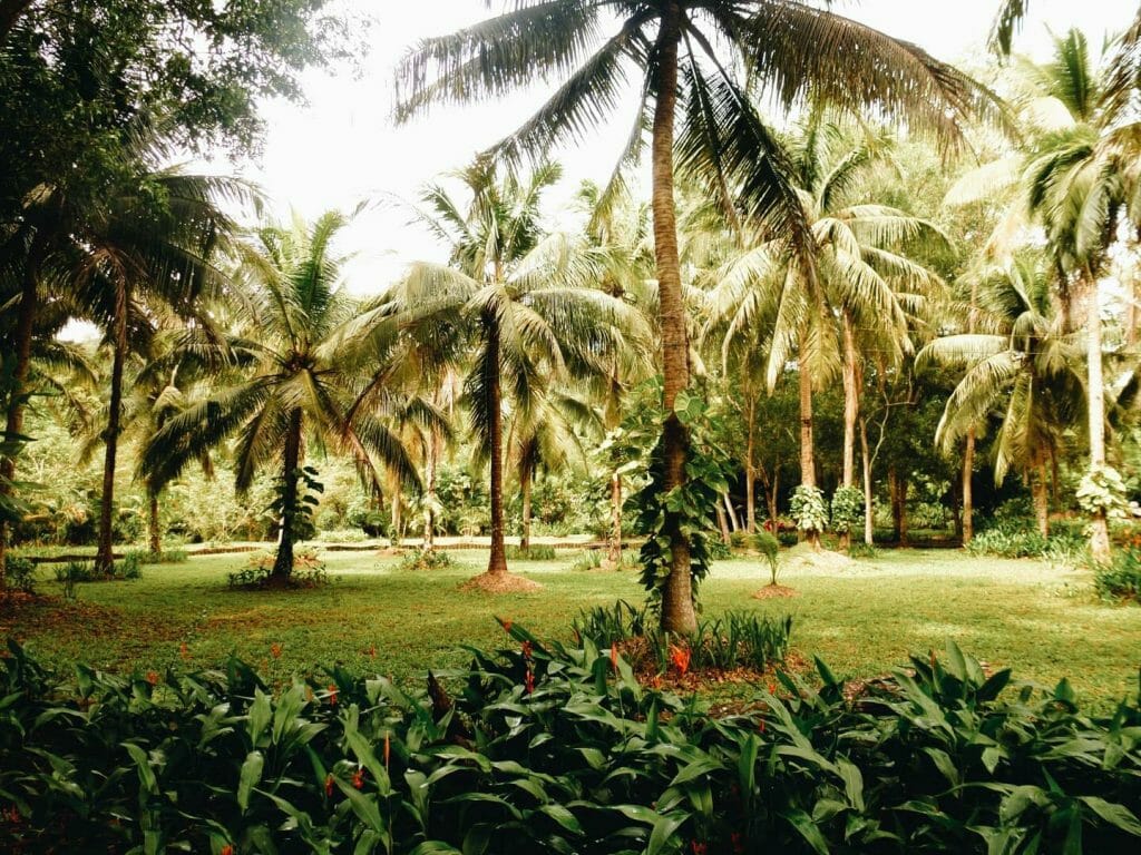 parc phu quoc vietnam