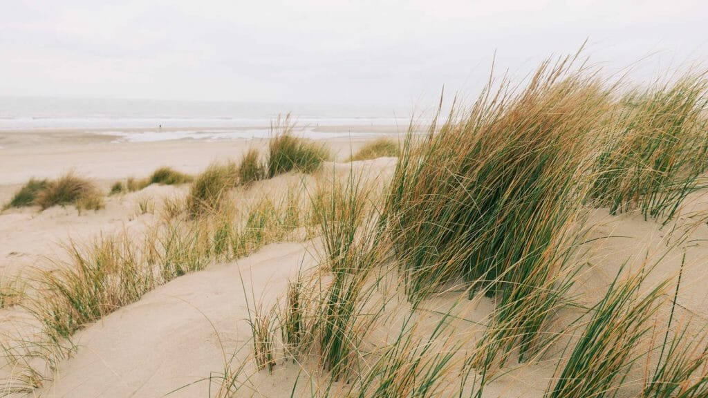 dune De Haan