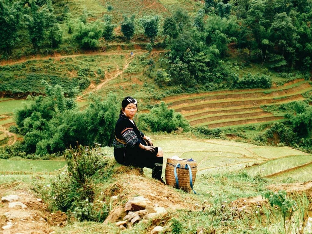 sapa rizière vietnam