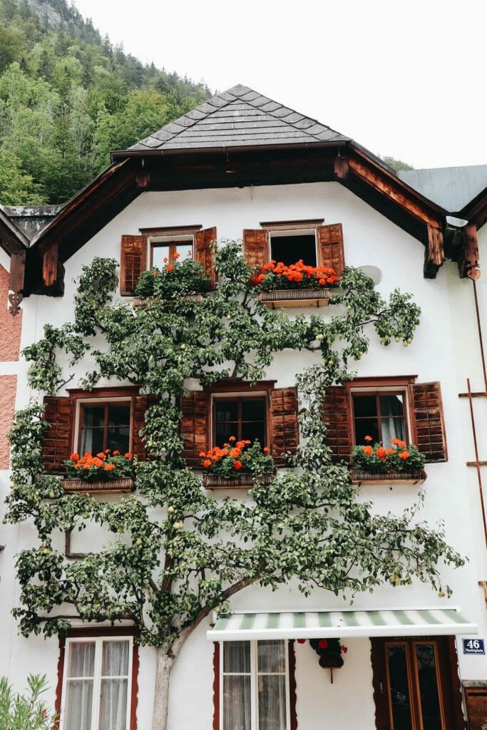 maison village d’Hallstatt