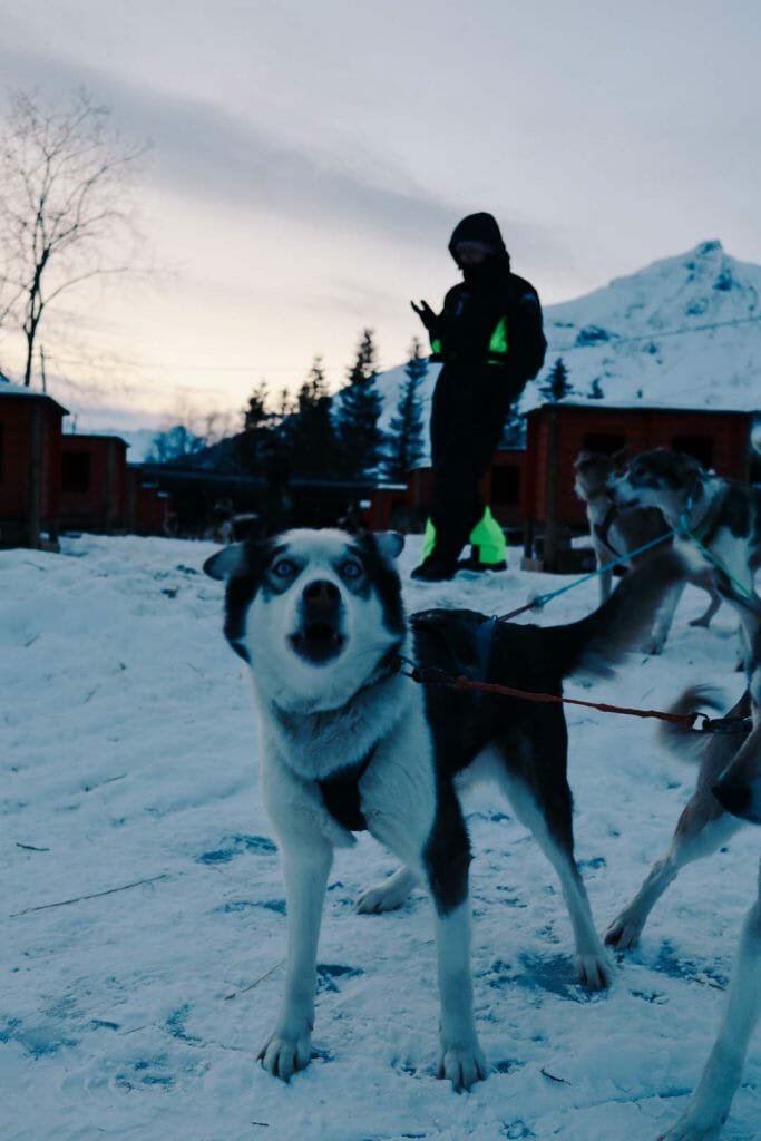 nos coeurs voyageurs